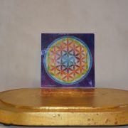 2016-10-26 11.51.53